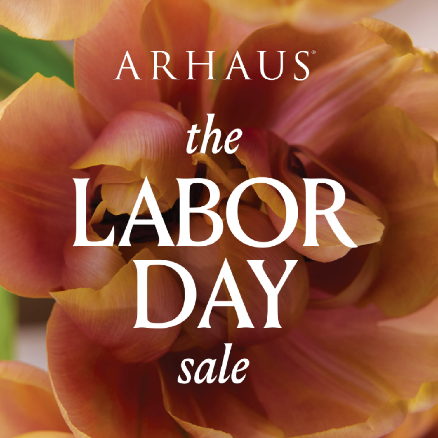 The Labor Day Sale icon