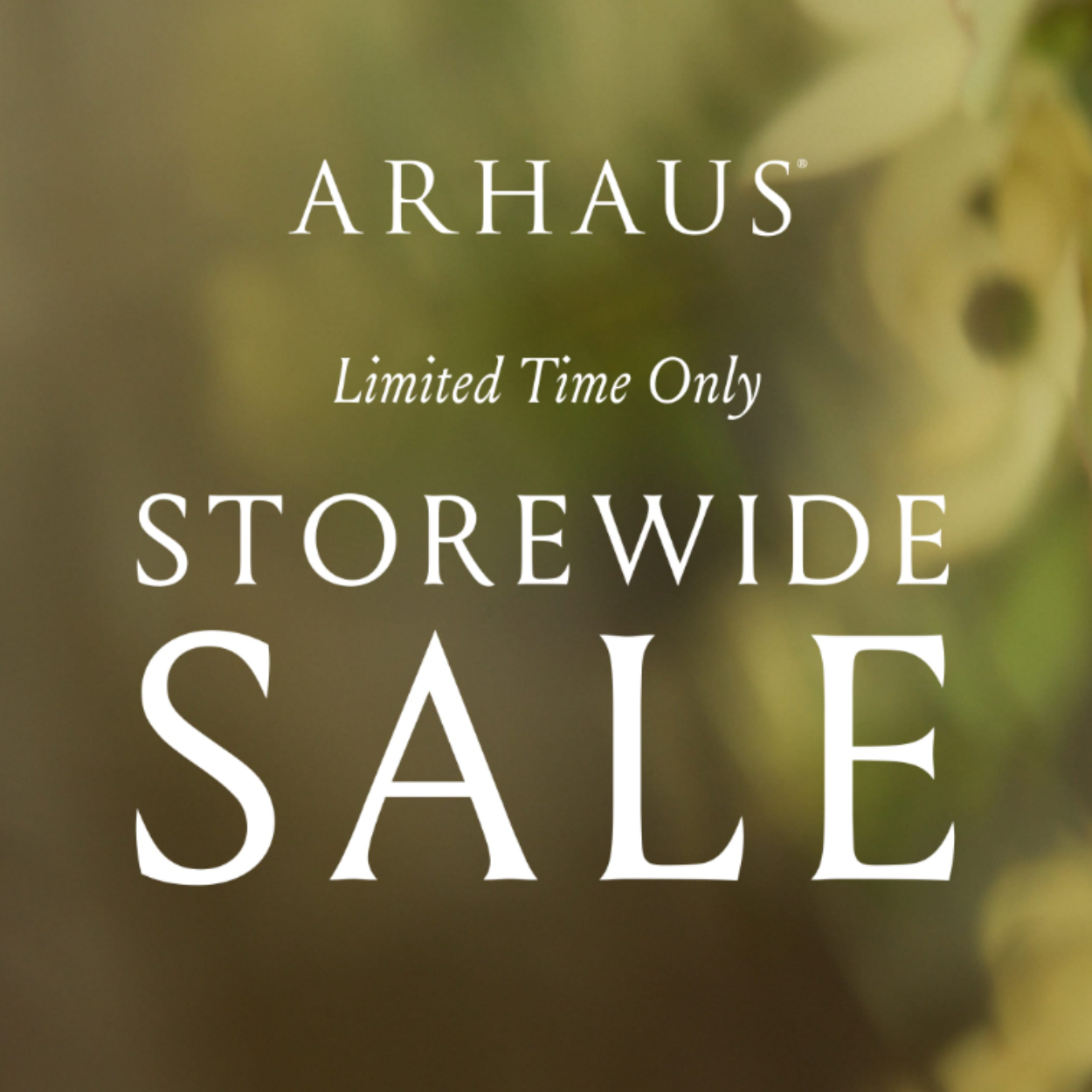 Storewide Sale icon